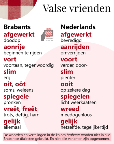 Afbeelding van woorden die zogenaamde valse vrienden zijn.
